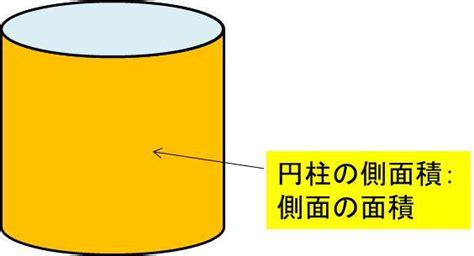 低面積|円柱の側面積、底面積、表面積を求める方法